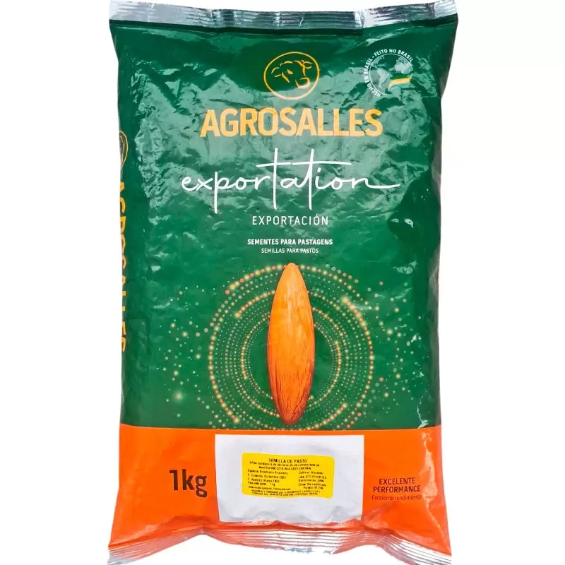 brachiaria-brizantha-marandu