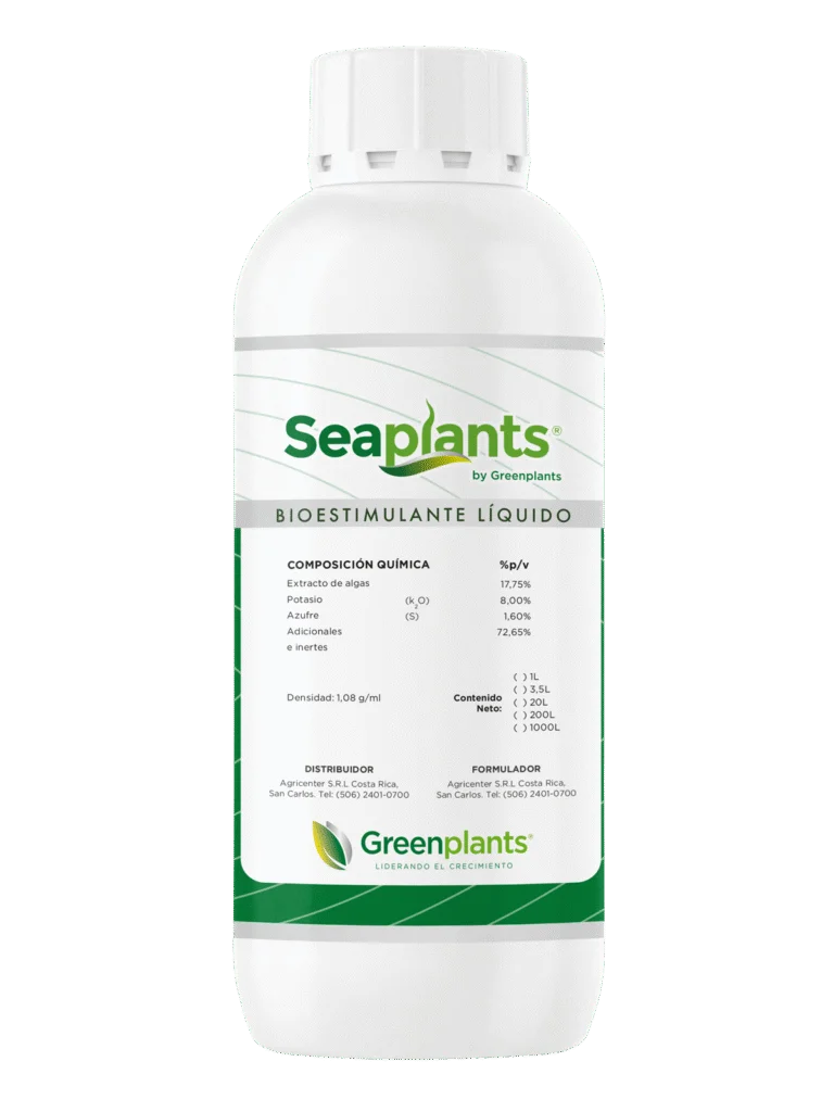 greenplants-seaplants